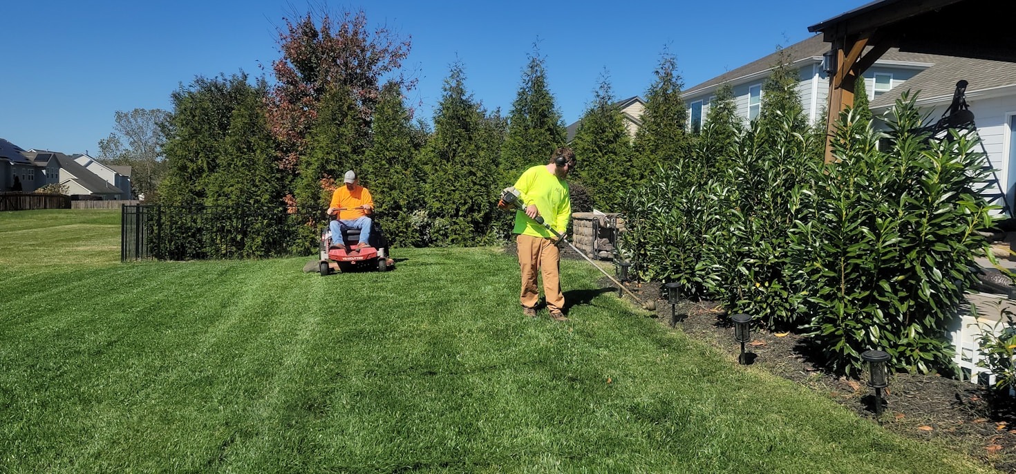 Say Goodbye to Weeds This Spring