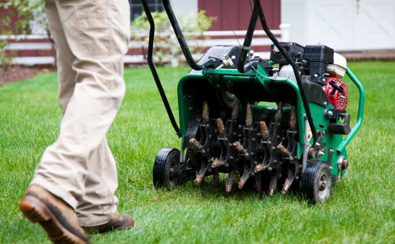 The Perfect Pair: Aeration and Overseeding in the Fall
