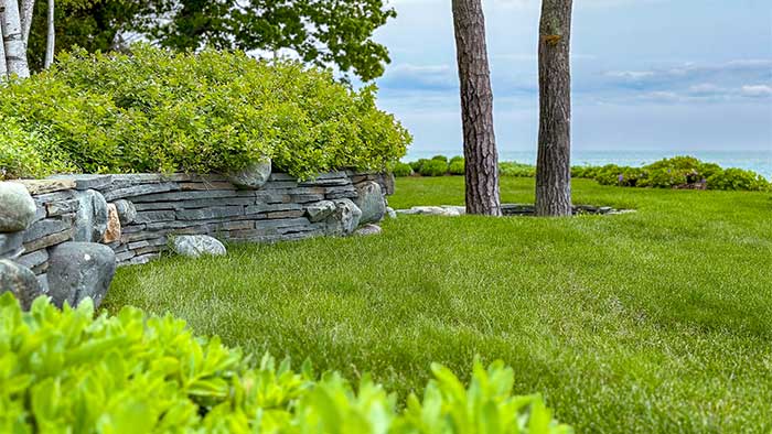 How Your Lawn Can Beat the Heat