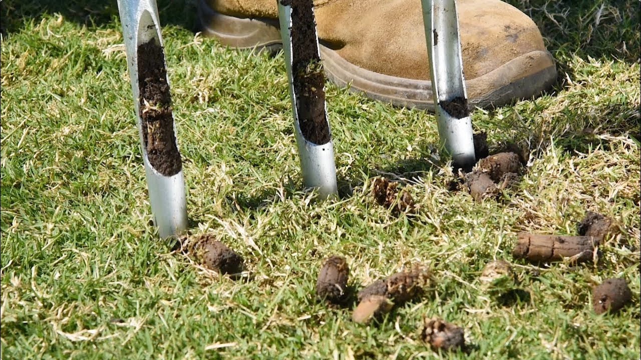 The Fall Secret Your Lawn Will Thank You for in Spring: Aeration