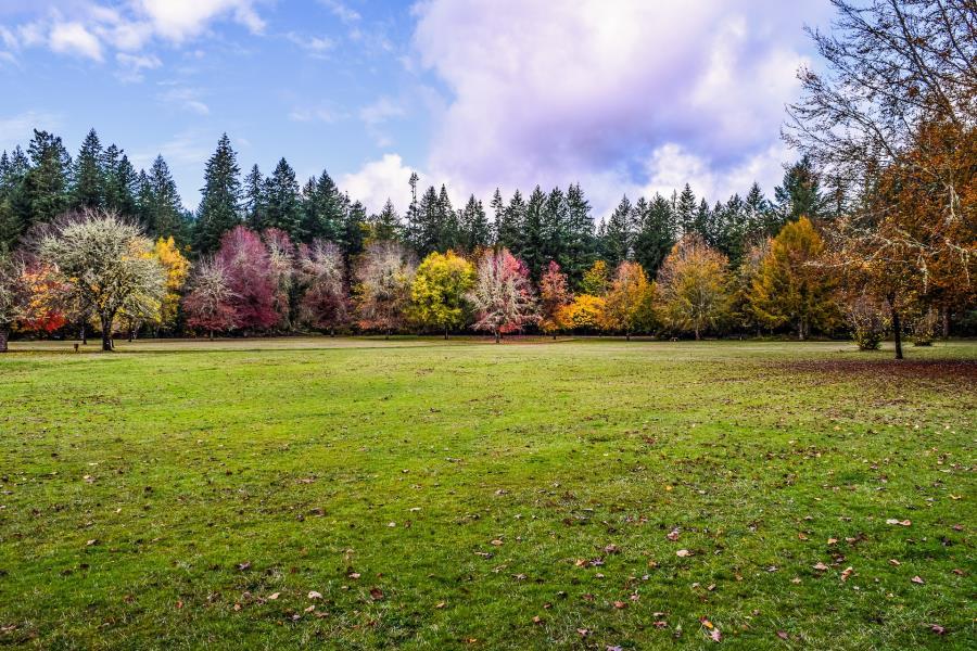 Spring vs. Fall Fertilizer: Why Fall is the Secret to a Lush Spring Lawn