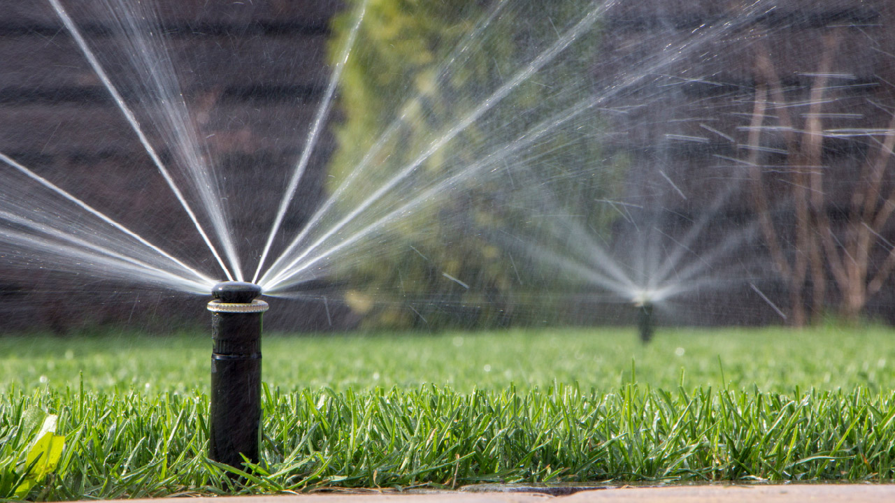 Why Sprinklers Are Essential for Fertilizer and Grub Control to Work Effectively